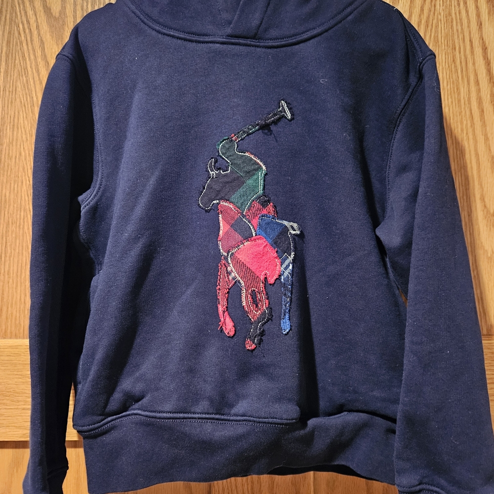Polo Ralph Lauren Youth Hoodie with Multicolor Embroidery